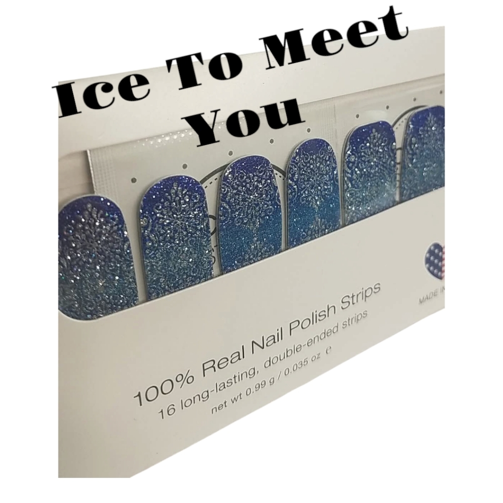 NWT Ice To Meet You Retired COLOR STREET Nail Polish Strips Winter Glitter